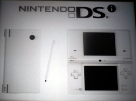The DSi